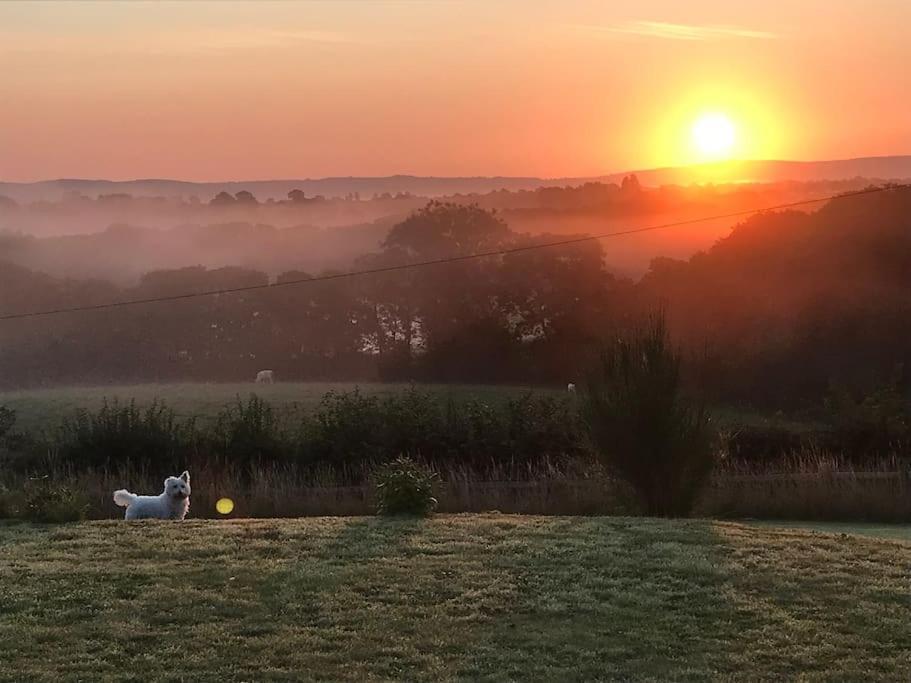 Stunning Shepherds Hut Rural Bliss Сasa de vacaciones