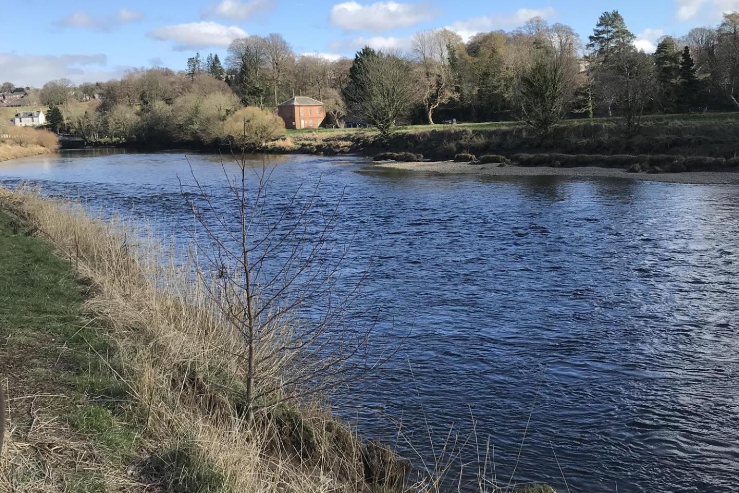 Stunning Shepherds Hut Rural Bliss * Dumfries